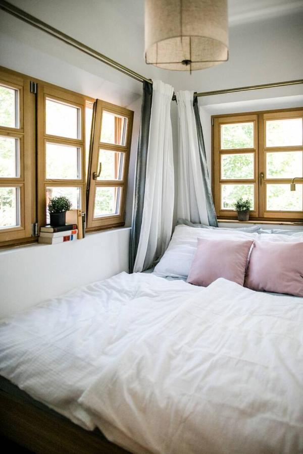 Apartment Aussee- Beletage Salzherrenhof- Kueche, Wlan, Netflix Bad Aussee Zewnętrze zdjęcie
