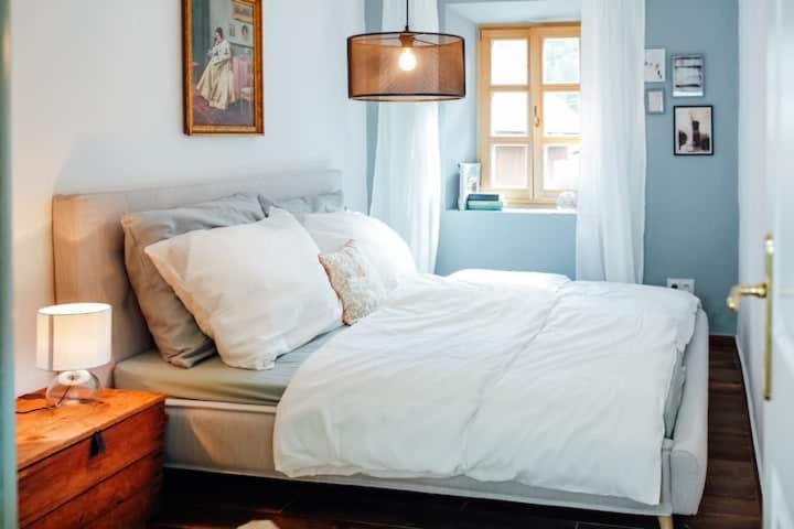 Apartment Aussee- Beletage Salzherrenhof- Kueche, Wlan, Netflix Bad Aussee Zewnętrze zdjęcie